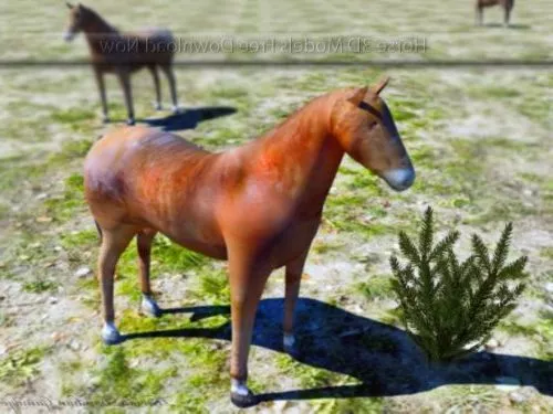 Wild Horse Lowpoly 3d model Wild Horse Lowpoly 3d model
