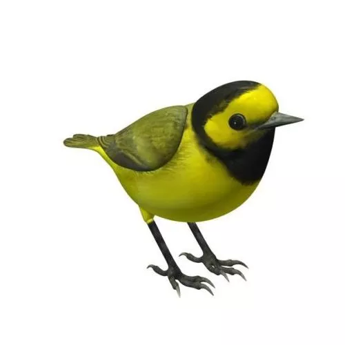 Handsome Man Character 3d model