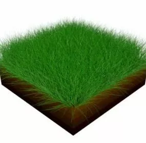 Grass Piece 3d model