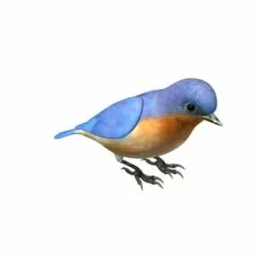 Forest Bird V1 3d model