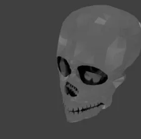 Lowpoly Skull 3d model