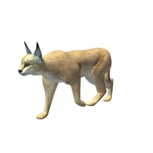 Black Cat Realistic Animal 3d model