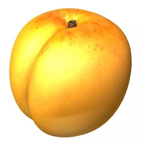 Concorde Pear 3d model