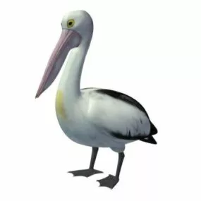 Pelican 3d model