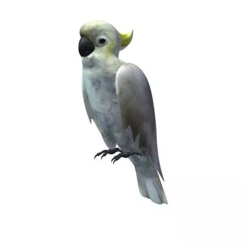 Robot Eagle Bird 3d model