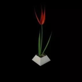 Flower Decorative On Table 3d model