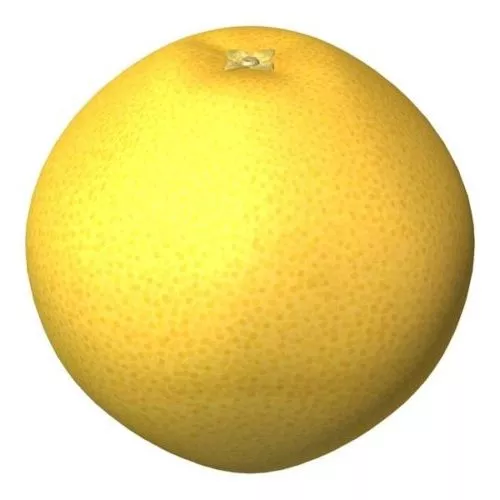 Yellow Pear Fruit 3d model Yellow Pear Fruit 3d model