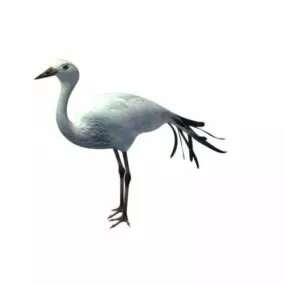 White Bird 3d model