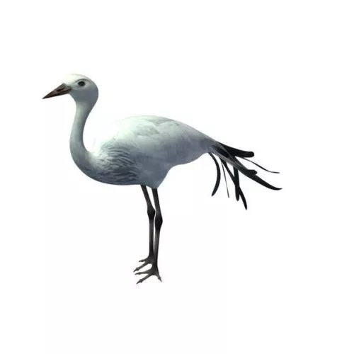 Tower Crane 3d model