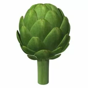 Vegetable 3d model