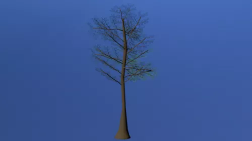 Spring Tree V1 3d model Spring Tree V1 3d model