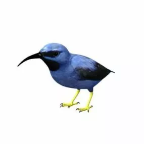 Blue Bird Lowpoly 3d model