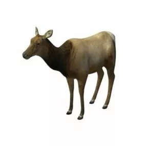 Elk 3d model