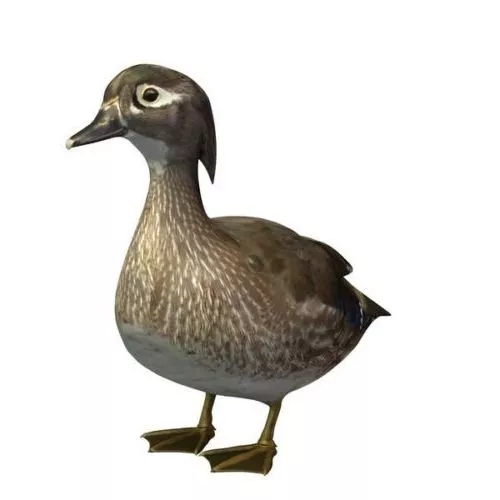 Plastic Duck Toy 3d model