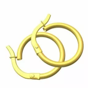 Gold Earring 3d model