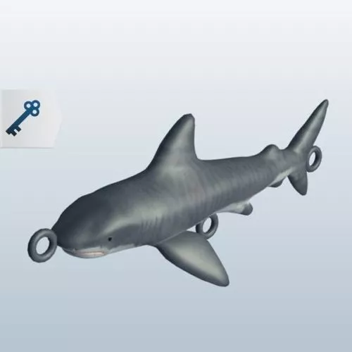 Blacktip Shark Sea Animal 3d model