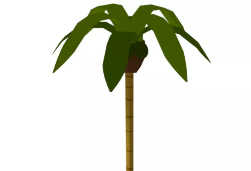 Palm Tree With Coconuts 3d model Palm Tree With Coconuts 3d model