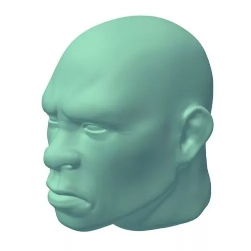 Head Sculpture 3d model Head Sculpture 3d model