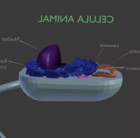 Animal Cell Concept 3d model