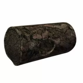 Aquarium Log 3d model