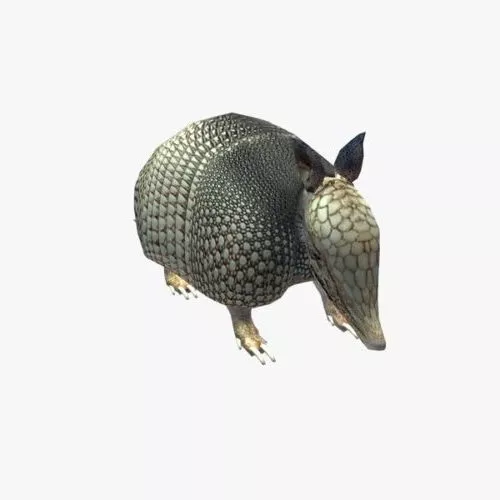 Armadillo V1 3d model Armadillo V1 3d model