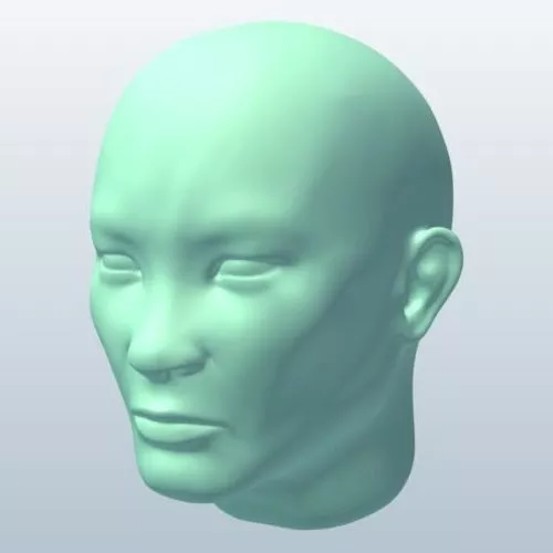 Head Of Athena Bust 3d model