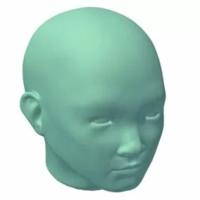 Asian Male Bust 3d model