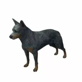 Australian Cattle Dog Animal 3d model