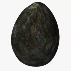 Avocado Fruit 3d model