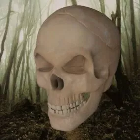 Bad Man Skull 3d model