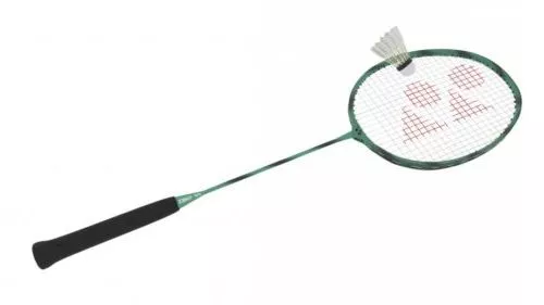 Badminton Birdie 3d model