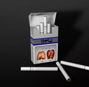 Cigarette Box 3d model