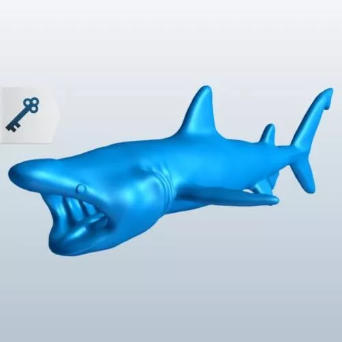 Under The Sea With Colorful Coral 3d model