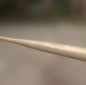 Wooden Bat 3d model
