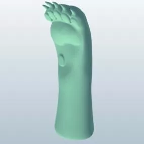 Bear Paw 3d model