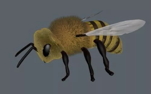 Bee Flying 3d model Bee Flying 3d model