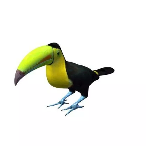 Toucan Bird 3d model Toucan Bird 3d model