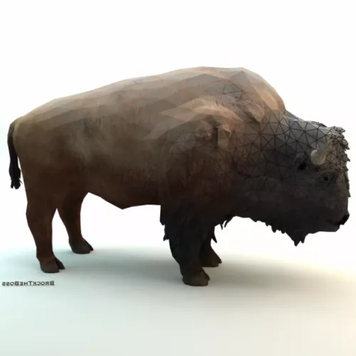 Bison Buffalo 3d model
