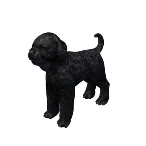 Black Russian Terrier Dog Breed 3d model Black Russian Terrier Dog Breed 3d model