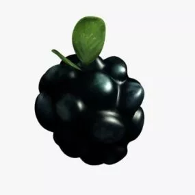 Realistic Blackberry 3d model