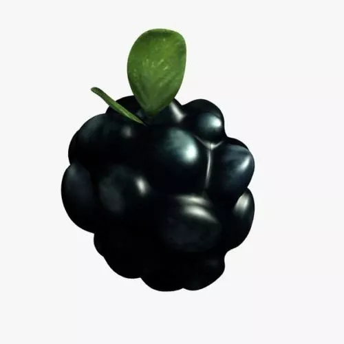 Realistic Blackberry 3d model Realistic Blackberry 3d model