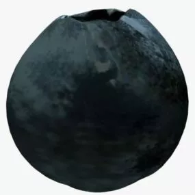 Blueberry 3d model
