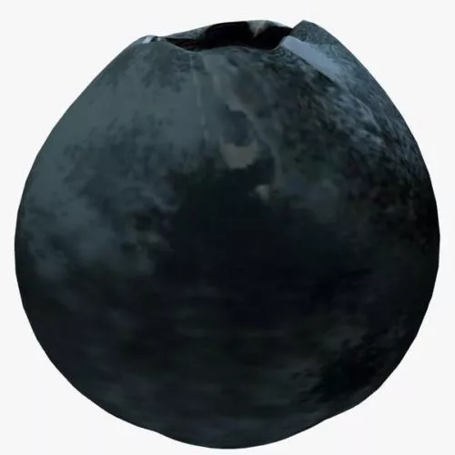 Blueberry 3d model Blueberry 3d model