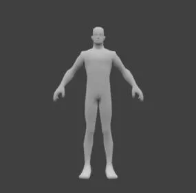 Basic Body Mesh 3d model