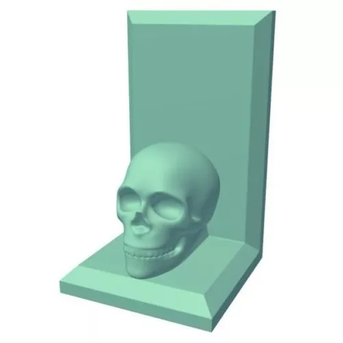 Muscle Man Anatomy 3d model