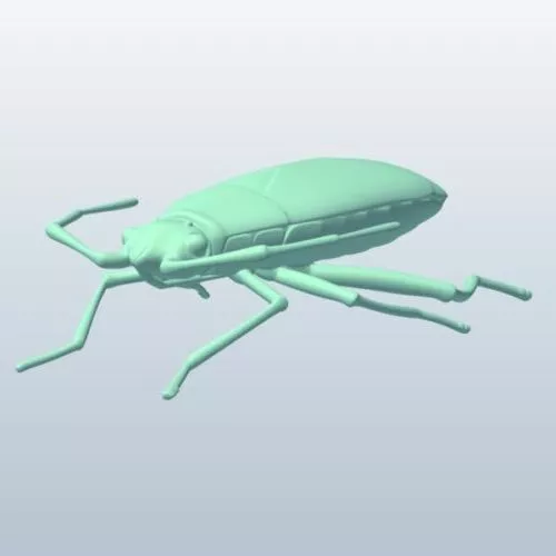 Boxelder Bug Animal 3d model Boxelder Bug Animal 3d model