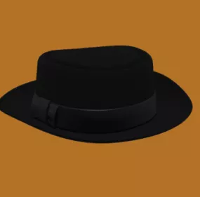 Black Hat 3d model