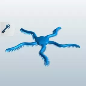 Brittle Star Starfish 3d model