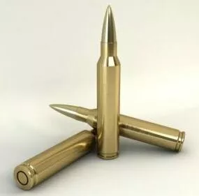 Gun Brass Bullet 3d model