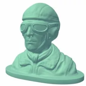 Bust Pilot 3d model